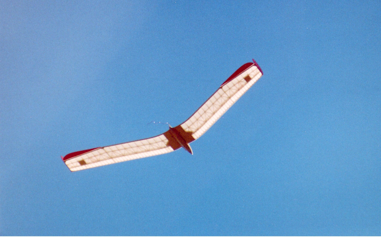 STINI-1 STINI-1